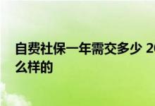 自费社保一年需交多少 2022年个人社保缴费标准明细是怎么样的 
