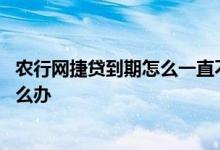 农行网捷贷到期怎么一直不扣款 农行网捷贷第二天才扣款怎么办