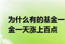 为什么有的基金一天涨几十点 为什么有的基金一天涨上百点