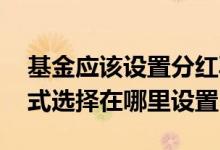 基金应该设置分红再投还是分红 基金分红方式选择在哪里设置
