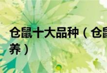 仓鼠十大品种（仓鼠有哪些种类哪种仓鼠最好养）