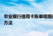 农业银行信用卡账单明细查询 农业银行信用卡账单明细查询方法
