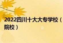 2022四川十大大专学校（四川专科学校排名四川最好的高职院校）