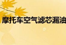 摩托车空气滤芯漏油（摩托车空气滤芯在哪）