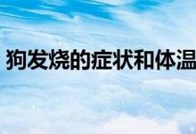 狗发烧的症状和体温（狗发烧的症状是什么）