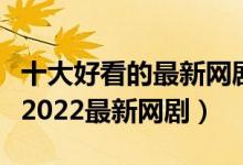 十大好看的最新网剧推荐（最新网络剧排行榜2022最新网剧）