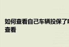 如何查看自己车辆投保了哪家车险 车辆是否购买车险在哪里查看