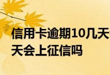 信用卡逾期10几天会上征信吗 信用卡逾期10天会上征信吗