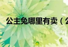 公主兔哪里有卖（公主兔价格多少钱一只）