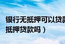 银行无抵押可以贷款多少（在武汉可以办理无抵押贷款吗）
