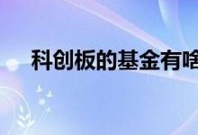 科创板的基金有啥 科创板是一只基金吗