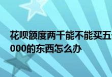 花呗额度两千能不能买五千的东西 花呗额度只有三千想买5000的东西怎么办
