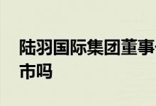 陆羽国际集团董事长是谁 陆羽国际集团能上市吗