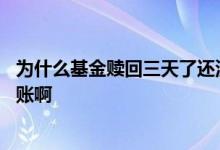 为什么基金赎回三天了还没到账 为什么基金赎回七天还没到账啊
