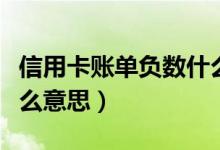 信用卡账单负数什么意思（信用卡账单负数什么意思）