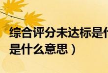 综合评分未达标是什么原因（综合评分未达标是什么意思）