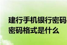 建行手机银行密码格式是什么 建行手机银行密码格式是什么
