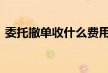 委托撤单收什么费用 我能用委托撤单做什么