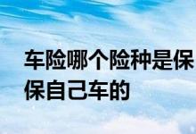车险哪个险种是保自己车的 车险哪个险种是保自己车的