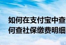 如何在支付宝中查社保缴费明细 在支付宝如何查社保缴费明细