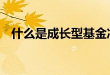 什么是成长型基金净值 什么是成长型基金