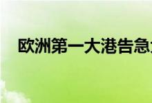 欧洲第一大港告急大量空箱积压难返中国