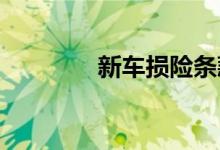 新车损险条款具体内容解析