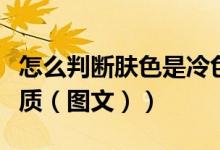 怎么判断肤色是冷色还是暖色调（怎么判断肤质（图文））