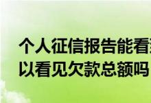 个人征信报告能看到欠款总额吗 征信报告可以看见欠款总额吗