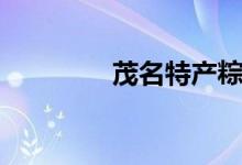 茂名特产粽子（茂名特产）