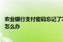 农业银行支付密码忘记了怎么改 中国农业银行支付密码忘了怎么办