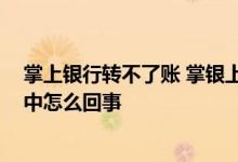 掌上银行转不了账 掌银上转账已受理然后又没转出去 等待中怎么回事