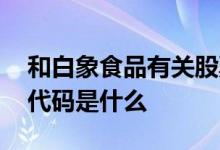 和白象食品有关股票代码 白象食品集团股票代码是什么 