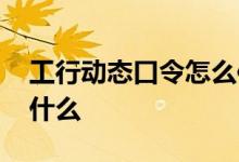 工行动态口令怎么使用 工行校验用户口令是什么
