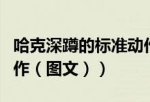 哈克深蹲的标准动作图解（哈克深蹲的标准动作（图文））