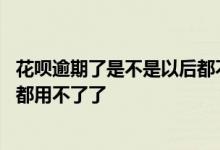 花呗逾期了是不是以后都不能用了 花呗逾期停了是不是以后都用不了了