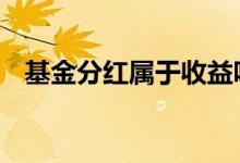 基金分红属于收益吗 基金分红属于红利吗
