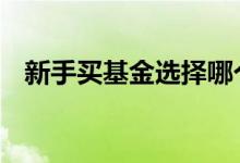 新手买基金选择哪个 新手买基金选什么好