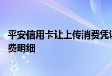 平安信用卡让上传消费凭证怎么办 平安信用卡怎么查账单消费明细