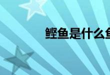 鲣鱼是什么鱼（鲣鱼是什么）
