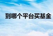到哪个平台买基金 网上哪里可以购买基金