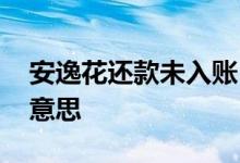 安逸花还款未入账 安逸花还款未入账是什么意思