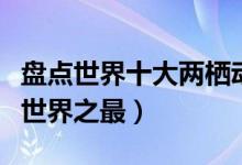 盘点世界十大两栖动物之最（两栖动物有哪些世界之最）