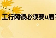 工行网银必须要u盾吗 工行网银必须要u盾吗