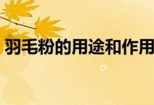 羽毛粉的用途和作用（羽毛粉的用途是什么）