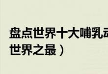 盘点世界十大哺乳动物之最（哺乳动物有哪些世界之最）