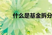 什么是基金拆分（什么是基金申购）