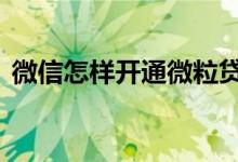 微信怎样开通微粒贷 刚开通微信有微粒贷吗
