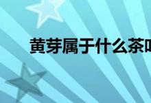 黄芽属于什么茶叶（黄芽属于什么茶）