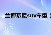 兰博基尼suv车型（兰博基尼SUV怎么样）